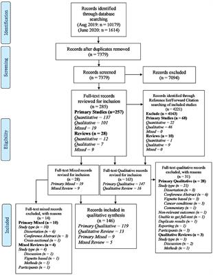 Consequences of a Diagnostic Label: A Systematic Scoping Review and Thematic Framework